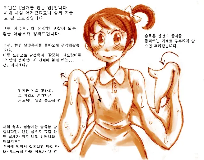 Tori TF Ni Kansuru Kousatsu To Renshuu | Study And Practice About Bird TF